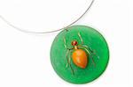 Original necklace, glassy beetle