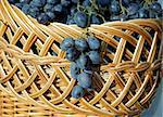 Woven basket with blue grapes