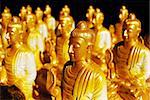 Many of Golden Buddha Statue