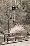 Old sepia photo of the bench in autumn park