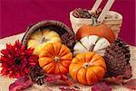 Still life of small ornamental pumpkins, and cone spilling from basket on woven straw mat. Background is deep red woven cloth.
