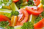 Fresh vegetables: tomatoes, cucumbers, a paprika and parsley in a plate