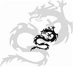 black silhouette of dragon. shade of drakona.na white background