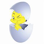 Yellow chicken in egg on a white background. Vector