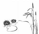 vector silhouette of the marsh plants on white background