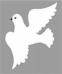 vector illustration of the dove