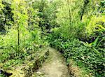 path in chinese garden