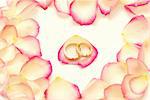 Wedding rings on a red rose petal