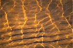 Sunlight reflected on the water surface on a sandy beach