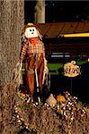 A halloween holiday scarecrow welcoming trick or treaters