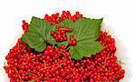 red berries of currant with green leaves on plate