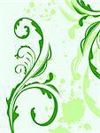 Illustration spring grunge flower and  leaf green. Vector