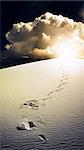 Footprints in desert White Sands New Mexico USA