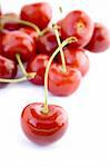 cherry isolated on a white background