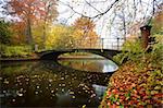 Autumn in a park with a bridge over a creek