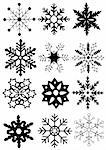 vector illustration of black snowflakes