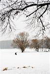 Ice-covered lake after a snowfall in February.