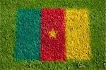 flag of cameroon on grass with spray