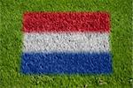flag of netherlands on grass with spray