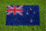 flag of new zealand on grass with spray