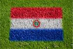 flag of paraguay on grass with spray