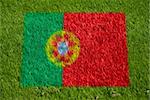 flag of portugal on grass with spray