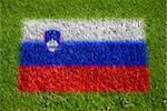 flag of slovenia on grass with spray