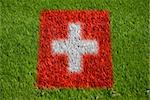 flag of switzerland on grass with spray