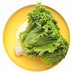 Fresh Lettuce in a Vibrant Yellow Bowl Isolated on White with a Clipping Path.