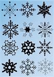 vector illustration of 12 black snowflakes on blue background