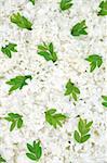 Guelder rose blossoms and myrtle leaves - background