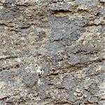 Seamless texture - the surface of natural rough stone