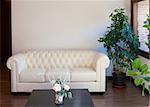 Modern interior design with white vintage sofa