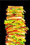 Tall sandwich isolated on the black background