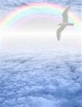 Bird soars in serene cloudscape