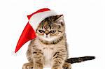 Striped fluffy kitten in hat santa isolated on white background