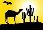 vector illustration of desert with camel.eagle and meer cats