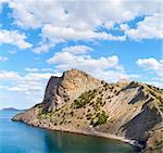 Rocky summer coastline with pine trees , pathway