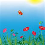 Background with poppies and red butterfly. Vector illustration.