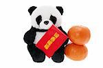 Soft Toy Panda with Mandarins on White Background