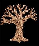 Tree made of crimson lentil