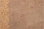 Wheat border on burlap background