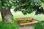wooden table and bench in garden by green tree