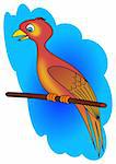 parrot bird animal nature color africa