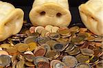 Pig Snouts Snuffling in Euro Coins