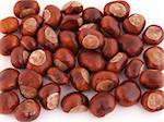 A Conker is the seed of a Horse Chestnut tree.