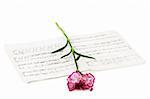 Romatic concept - red carnations flower on musical notes page