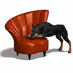 Black Doberman Dog. 3D rendering with clipping path and shadow over white