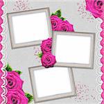 Vintage elegant silver frames with rose and lace