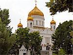 The Cathedral of Christ the Saviour in Moscow